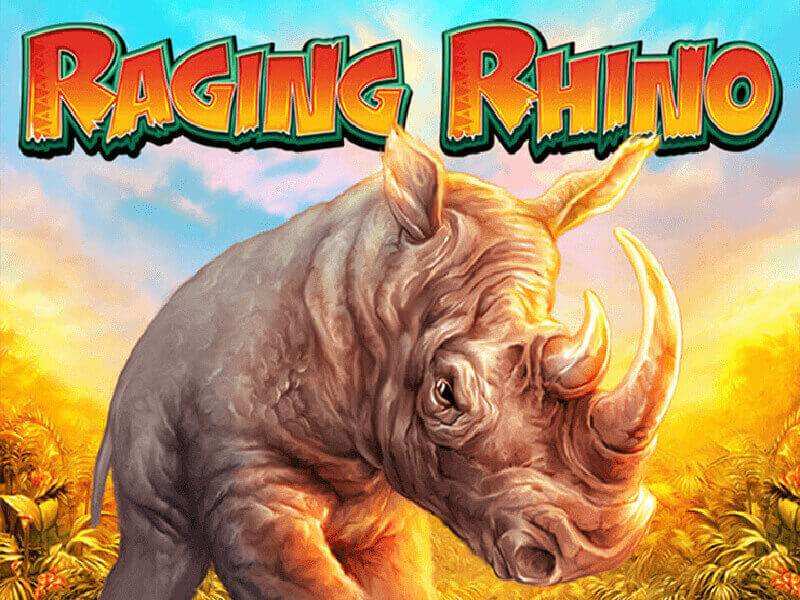 Raging Rhino Free Slot
