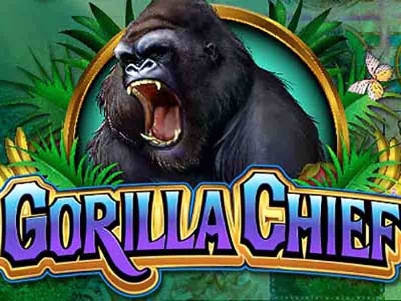 Gorilla Slot Game