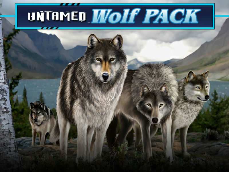 Wolf Pack Games Free Online