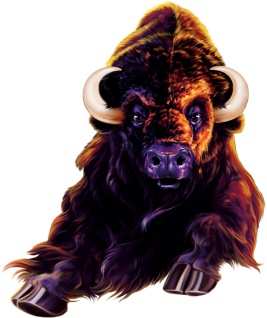 buffalo chief slot