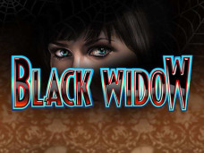Black Widow Slot Online
