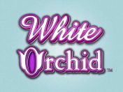White Orchid IGT Slot