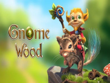 Gnome Wood Slots