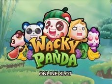 Wacky Panda