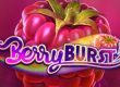 Get 25 Free Spins on BerryBurst Slot by Bet365 Casino