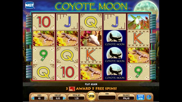 Coyote Moon Slot Machine