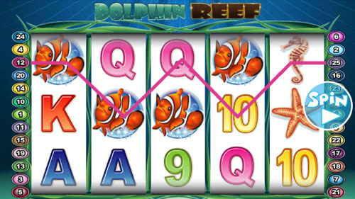 Dolphin Reef Slot Reels