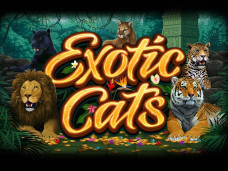 Exotic Cats Slot Featured Image
