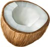 Coconut Symbol