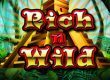Get $/€100 + 50 Free Spins on Rich Wild Slot by Slots Magic Casino