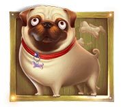 The Dog House Slot Pug Symbol