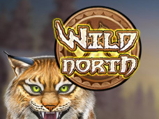 Wild North Slot Online