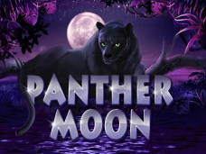 Panther Moon slots machine logo