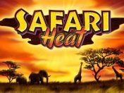 Safari Heat Novomatic Slot Logo