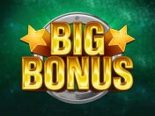 Big Bonus Free Slot