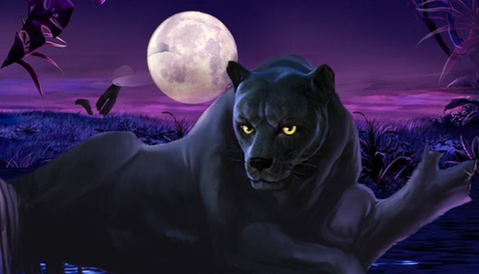 Panther Moon Slot Game Free Play