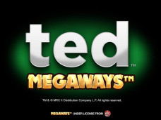 Ted Megaways Free Slot
