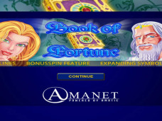 Book of Fortune Slot Featured Image