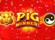 $7777 + 300 Free Spins on Pig Winner Slot by Sloto Cash Casino