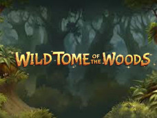Wild Tome Of The Woods Slot Featured Image