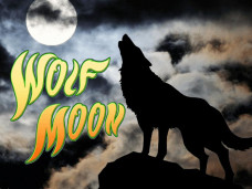 free Wolf Moon slot logo