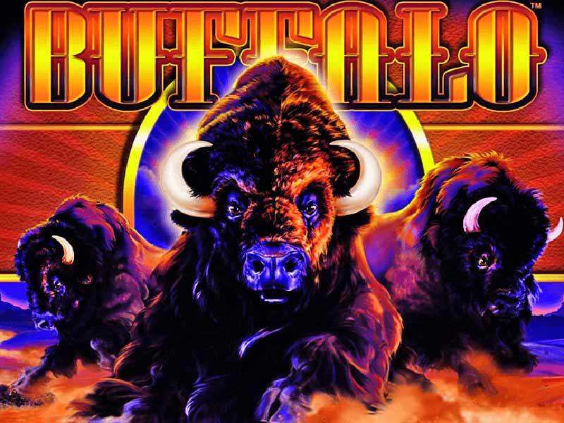 Free Buffalo Slots No Download