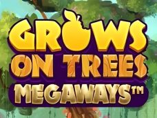 Grows On Trees Megaways