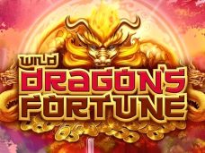 Wild Dragon’s Fortune