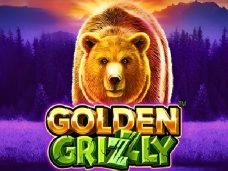 Golden Grizzly
