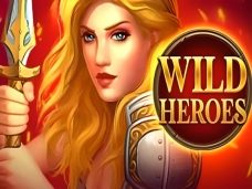 Wild Heroes 3×3