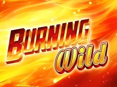 Burning WILD