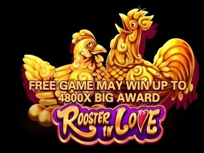 Rooster in Love