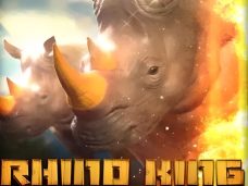 Rhino King