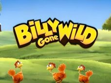 Billy Gone WIld