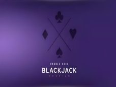 Blackjack Premium Double Deck
