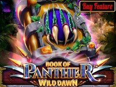 Book Of Panther Wild Dawn