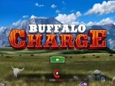 Buffalo Charge