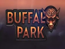 Buffalo Park