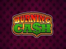 Burning Cash