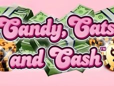 Candy Cats and Cash