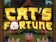 Cats Fortune