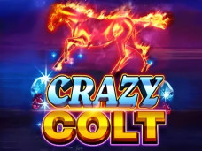 Crazy Colt