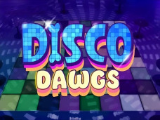 Disco Dawgs