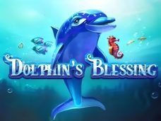 Dolphin’s Blessing