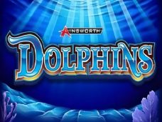 Dolphins Ainsworth