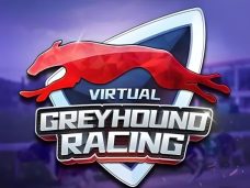 KM Virtual Greyhound Racing