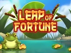 Leap Of Fortune