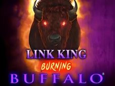 Link King Burning Buffalo