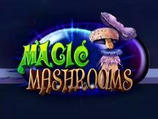 Magic Mashrooms