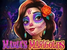 Maria’s Marigolds